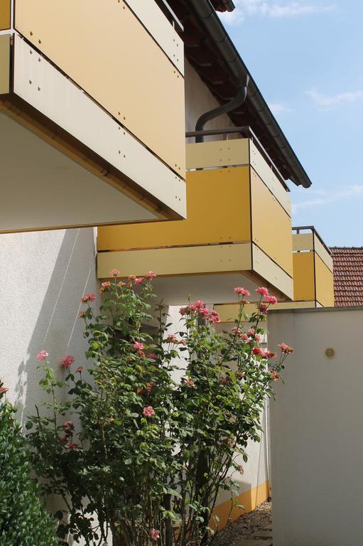 Hotel Hirschengarten Freiburg im Breisgau Exterior foto
