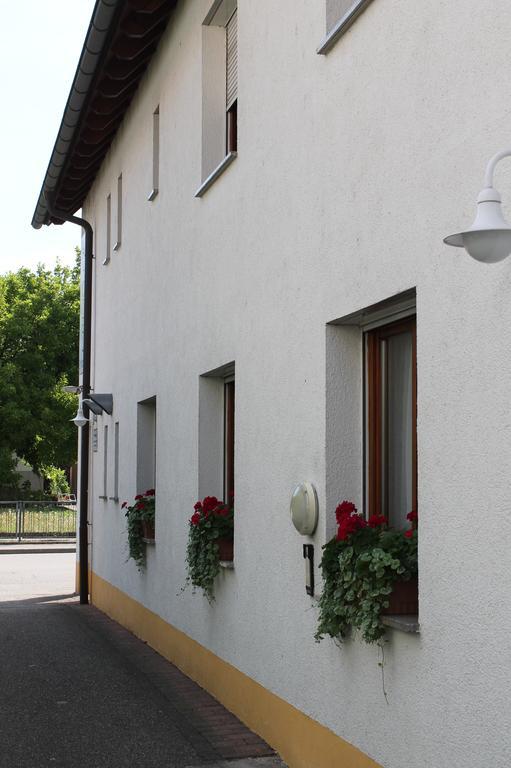Hotel Hirschengarten Freiburg im Breisgau Exterior foto